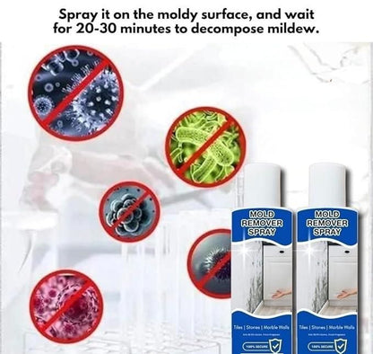 Mold Remover Spray 60ml