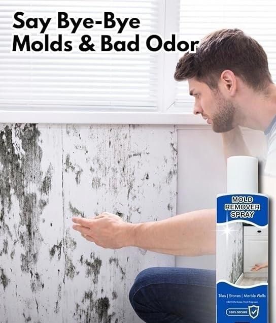 Mold Remover Spray 60ml